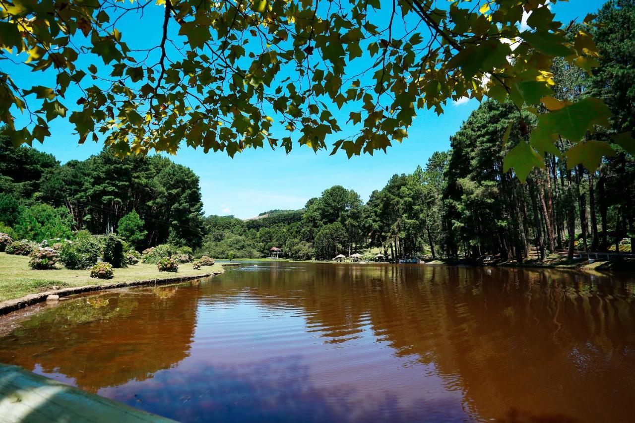 Fazenda Floresta Negra Monte Verde (Minas Gerais)