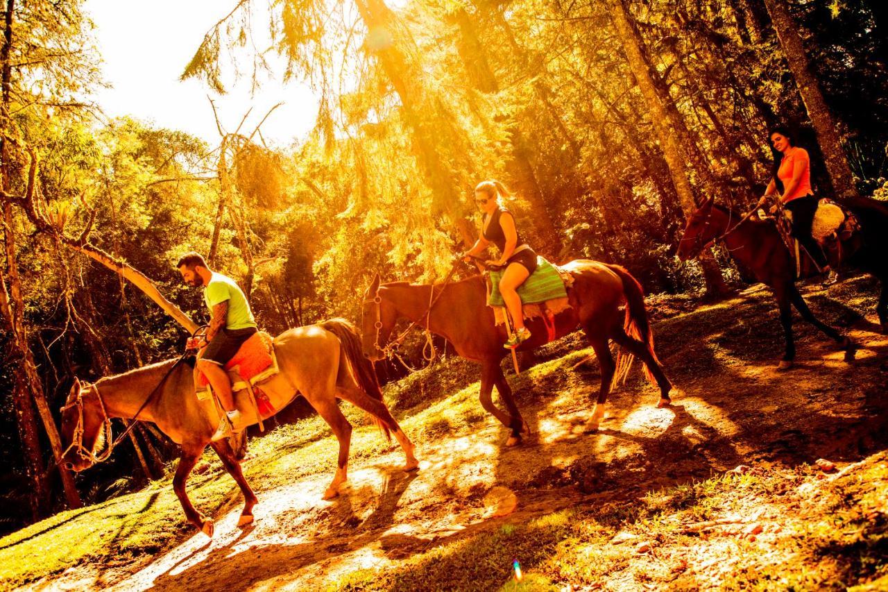 Hotel Fazenda Floresta Negra 3*