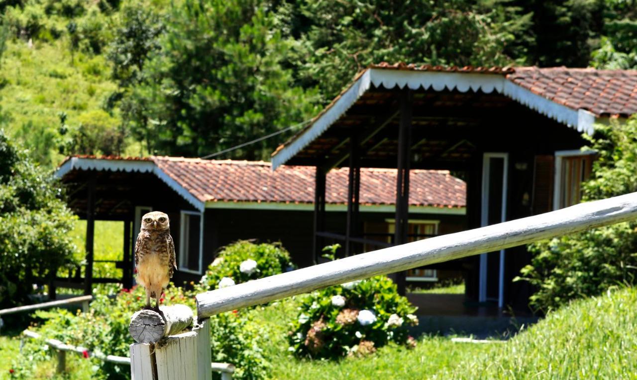Fazenda Floresta Negra 3*