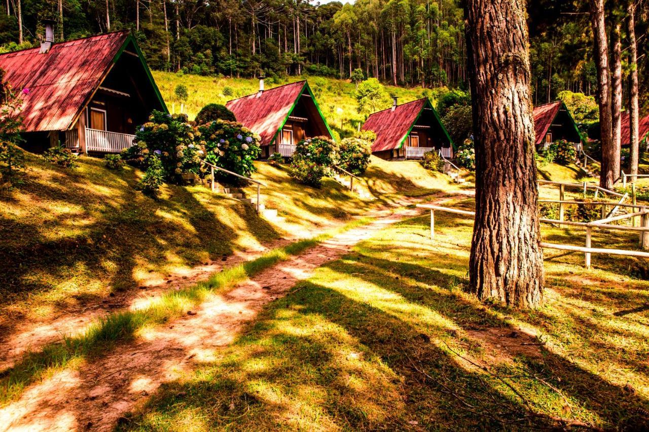 Hotel Fazenda Floresta Negra 3*