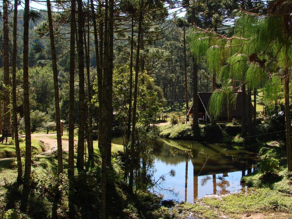 Fazenda Floresta Negra